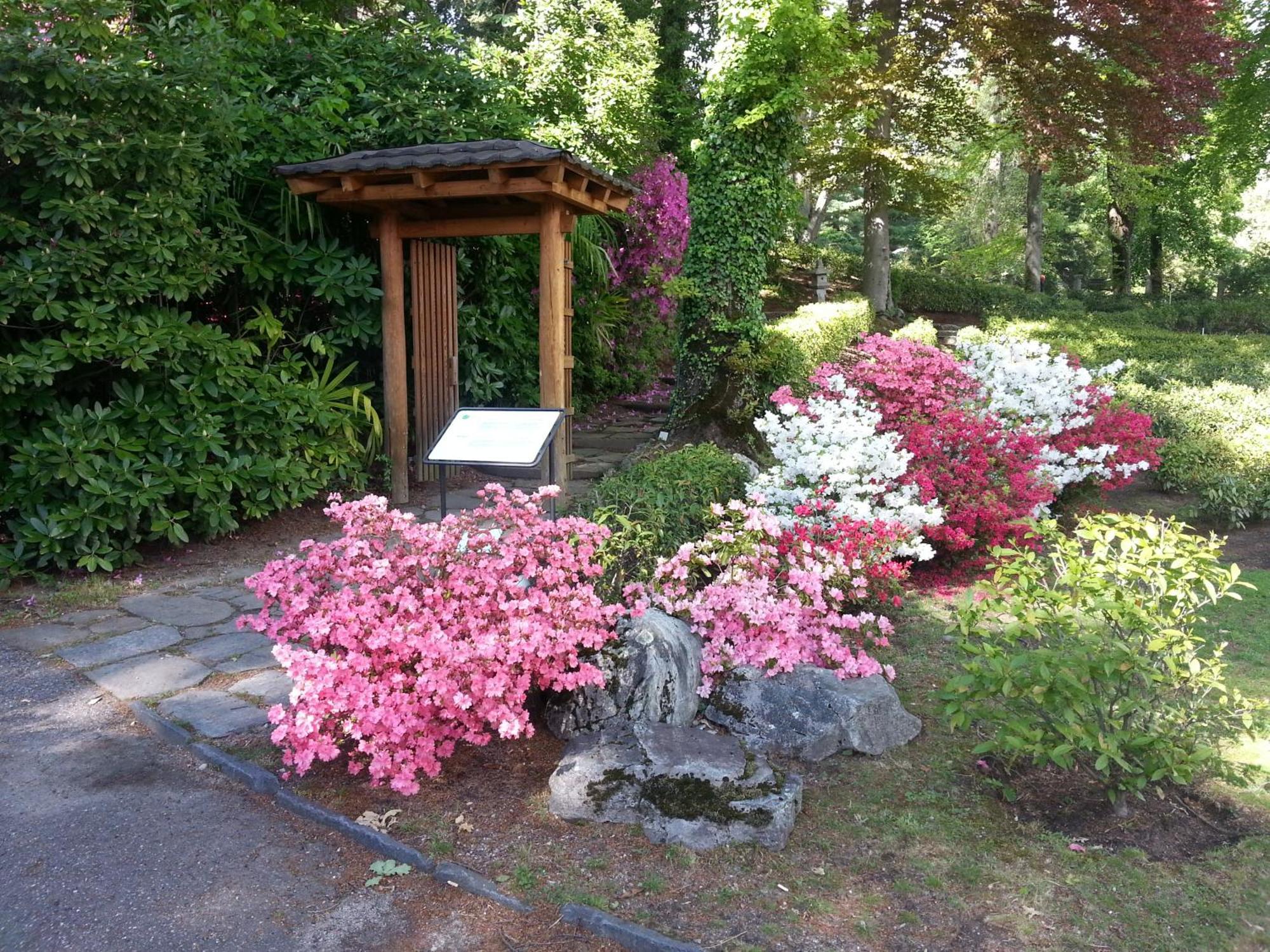 Hotel Monte Verita Ascona